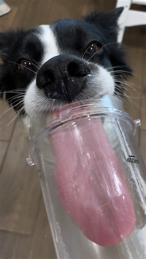 382K views · 7.3K reactions | Homemade "Churu" Cats love Churu, but...