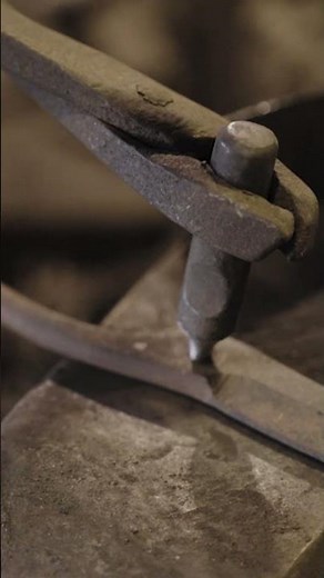 Bonsai scissors are an essential tool for pruning and trimming bonsai. #Bonsai #Scissors #ASMR