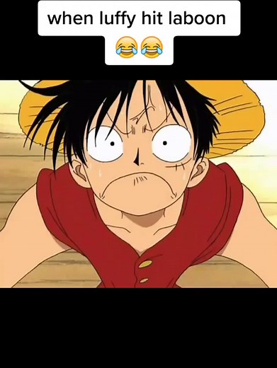 Luffy's Encounters with Laboon in One Piece