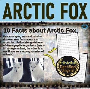 ARCTIC FOX: 10 facts. Fun, engaging PPT (w links & free graphic organizer)