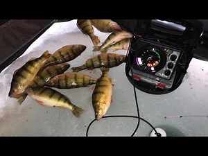Ice Fishing PERCH on Devils Lake - Quick Limit