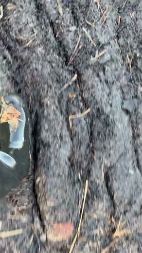 Walking on dirty grass with my Joules rubber boots ❤️