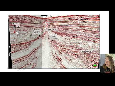 Seismic Reflection Interpretation: 2-5 Seismic Case Studies