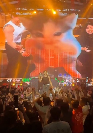 KICAU MANIA (WUKONG REMIX) 😈 #djwukong #kicaumania #indonesia | Wukong