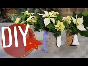 DIY med julstjärnor | Snabbt & Enkelt: Vinterbuketter i burk| MyPoinsettia