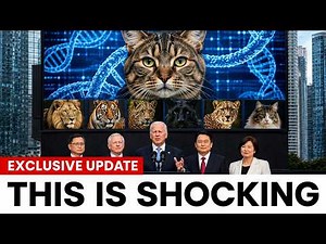Scientists Compared the DNA of Every Cat Species on Earth — The Results Shocked Everyone