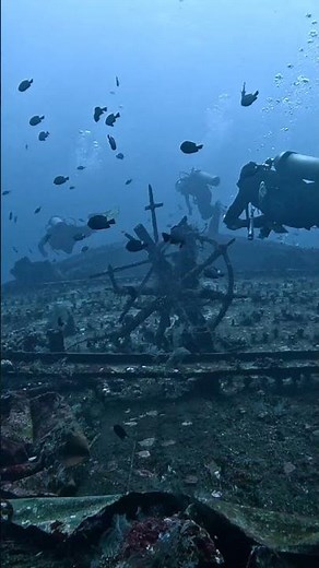 Master of Camouflage: Spotting the Venomous Scorpionfish #UnderwaterPredators #OceanMysteries