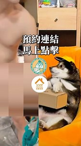 男朋友不搬，我們會搬 @moving_lab 現實的蘿小姐😂 @fatfatgod 搬家所有事就找#搬家研究室 #搬家 ##打包分類 #專業拆組 #家電移機 #垃圾清運 #省心搬家 #貼心服務 #創勝搬家 #精緻搬家 @vvipmoving | 定洋蔡