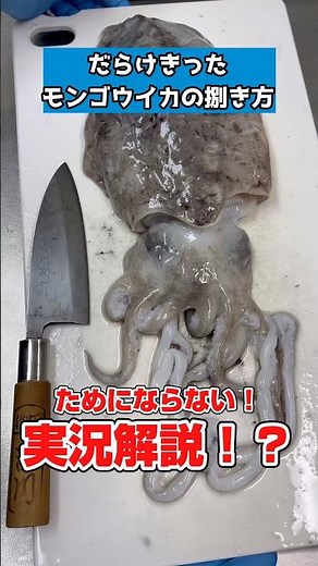 モンゴウイカをつまみ食いしてみた‼︎ #料理 #海鮮 #イカの捌き方