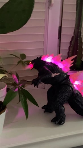 Justin CT Barber | Godzilla plant humidifier!! Lol i had to get it! | Instagram