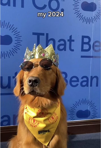 2024 Bush's Beans Year in Review Featuring Duke