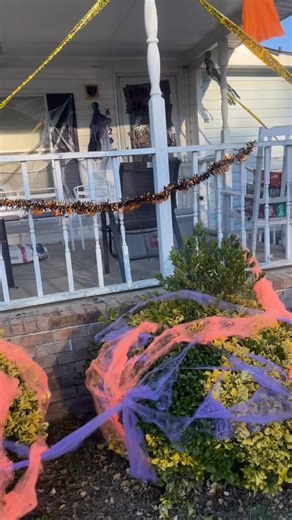 Wendy Hamilton on Reels