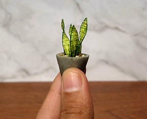 Miniature Snake Plant - Handmade, 1/12 Scale, Dollhouse Plant 1:12 , Miniature Houseplants - Etsy UK