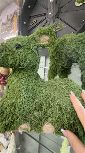 Ruby Hoskins on Reels