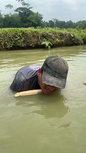 Fish Catching #reels | Extreme Fish World