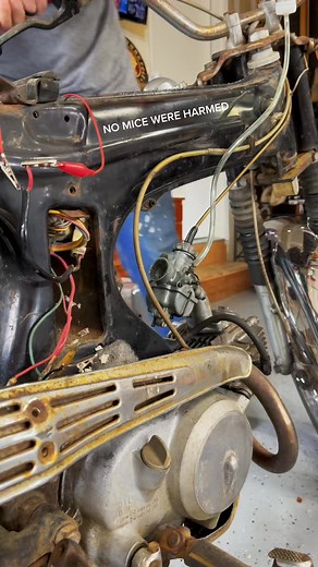 Goodbye mouse nest #cl90 #nottoday #barnbros #mousenest #moto | Empowerment Essentials