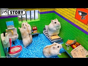 🐹 Hamster Escapes the Alcatraz Prison Maze 🐹 Homura Ham