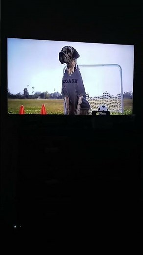 Apr. 2023: The 2023 Subaru Ascent Dog Commercial. 🐶🐶🐶🐶