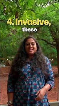 Which plants should you grow in your garden?