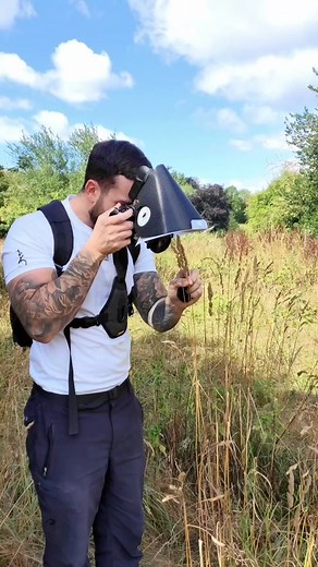 Exquisite Wing Patterns of Flies in Macro Photography