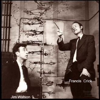 The River Divides into Thousands of Branches: Chapter 7: Watson and Crick propose that DNA is an anti-parallel double helix held by A:T and G:C base pairs