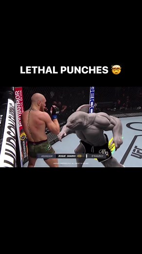 Sharky is an animal Credit: rogue shark | Hilarious MMA
