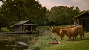 11 reactions · 4 comments | You don't see this everyday. | NJM Insurance Group | Facebook