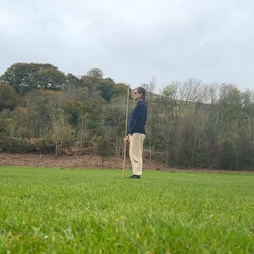 Bagua Linear Pole Form A short section of the Bagua linear pole form, as oppose to the circular pole form which is done around the circle like most bagua. This form is great for building upper body strength as the pole can be quite heavy. A very energetic form full of leaps and squats. | WTBA The World Taiji Boxing Association