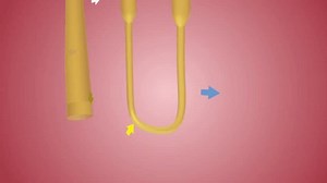 Overview Nephron Function Loop Henle Stock Footage Video (100% Royalty-free) 1105860369 | Shutterstock