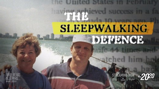 53K views · 233 reactions | Scott Falater's sleepwalking defense made sensational headlines in the '90s during his trial for killing his wife. The jury was faced with an astonishing question, "Did Scott Falater kill his wife in his sleep?" Full story: https://abcn.ws/3r4kecZ Watch latest full #ABC2020 episodes: https://bit.ly/2NDVyJI | ABC 20/20 | Facebook