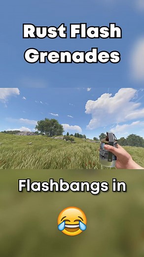 Rust Flash Grenades are Hilarious 🤣 | Memeio