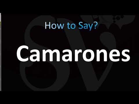 How to Pronounce Camarones (Spanish)