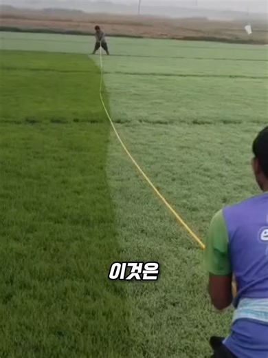 새벽 이슬을 털어내는 이유 알아보기