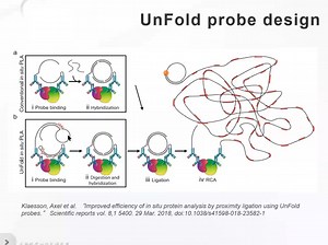 深入解读：Naveni自动化PLA技术分享_哔哩哔哩_bilibili