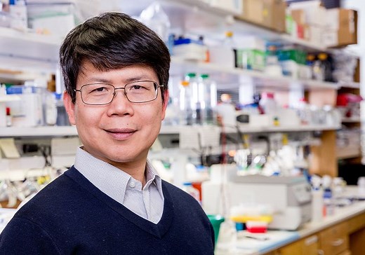 DNA-Sensing Enzyme Wins the 2024 Lasker Award