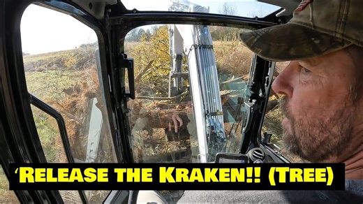 That Time We Took Down a Gnarly Tree with the Bobcat E42 R-2 Series