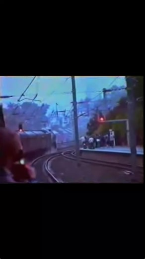 The 1994 Accident of Steam Locomotive 60532 Blue Peter