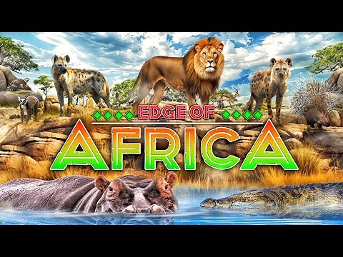 Zoo Tours: Edge of Africa | Busch Gardens Tampa Bay
