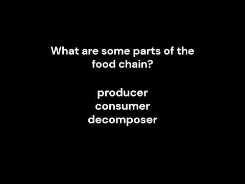 CC Cycle 2 Week 4 Science video