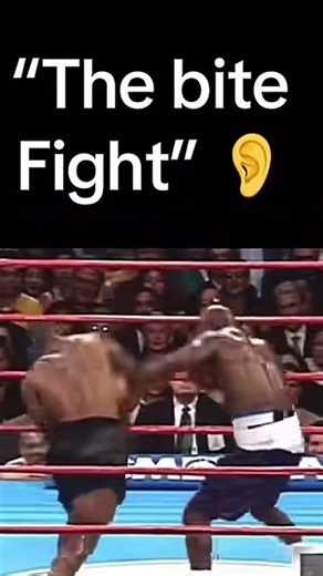 Tyson vs Holyfield… This Got OUT OF HAND