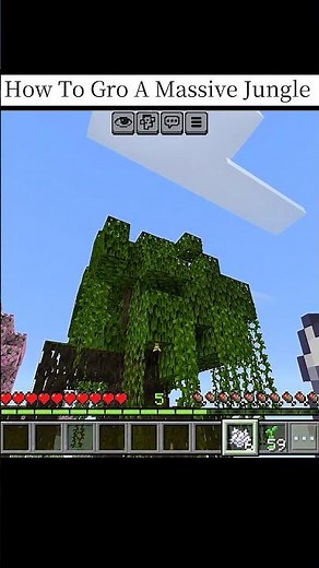 How To Gro A Massive Jungle In Minecraft! #minecraft #minecraftshorts #shorts