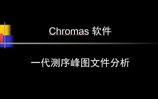 使用Chromas软件打开分析测序峰图文件