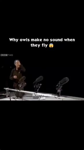 Gaurav verma on Instagram: "CHECK LINK IN BIO #msprivatelimited_ This isn’t just infrastructure — it’s one of the greatest engineering feats on Earth. 🌊 The Netherlands, a country where much of the land lies below sea level, turned survival into innovation. Through an incredible system of storm surge barriers, dikes, and canals, the Dutch transformed a constant threat into a symbol of strength and smart engineering. 💪 Even as sea levels rise, these systems keep entire regions dry — proof that