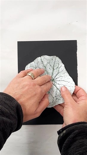 Suzy Sharpe - Impressions of Nature on Instagram: "Monoprinting Nasturtium leaves because they are still growing in the garden, a little unusual for this time of year, our mild weather and lack of frost has preserved them. The second print as is often the case revealed the most detail, every vein, edge, and mark, clearer than expected. This is one of the beauties of monoprinting, it encourages us to slow down and look twice. In doing so, we start to notice what we might otherwise overlook, how t