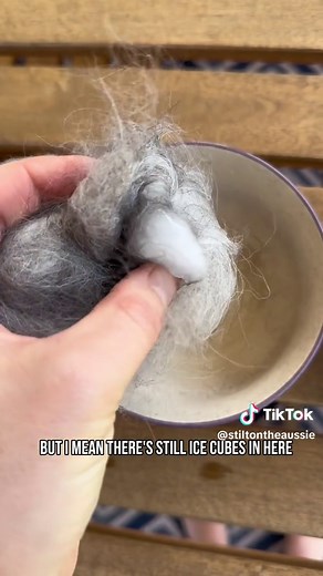 Understanding Double-Coated Dogs: Insulation Explained