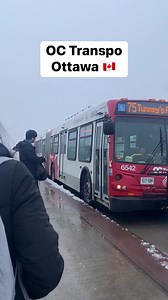 5.8K views · 197 reactions | OC Transpo Bus Ottawa Travel Explore Adventure ❤️ #travel #explorer #explore #adventure #octranspo #transportation | GraZia Igorota | Facebook