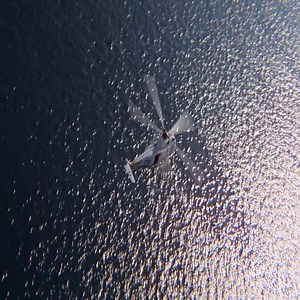 276K views · 2.7K reactions | Grumman F-14 Tomcat of USA vs Mitsubishi A6M Zero of Japan | Inspirations | Facebook