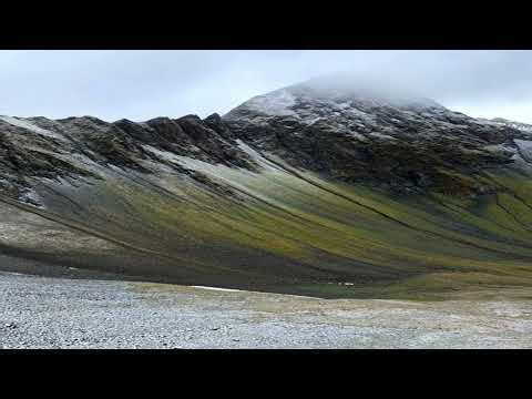 muress‮ - ᛉ angeli de caelo cadunt 🍀