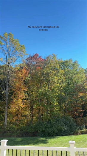 Exploring My Backyard Through the Seasons