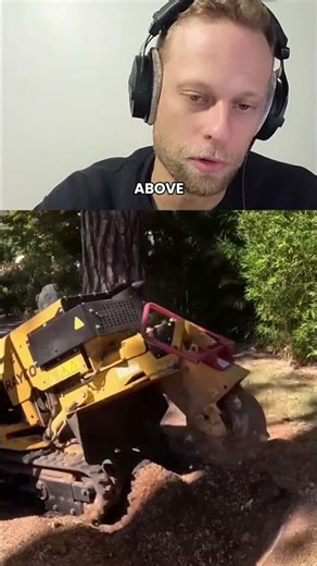 People MASSIVELY Underestimate Stump Grinding